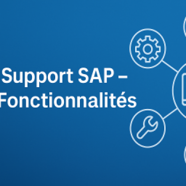 Support SAP – Fonctionnalités - Projet - Mindset